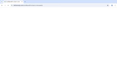 Frame at 300 ms