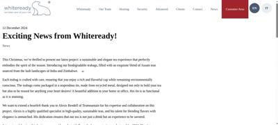 Frame at 300 ms